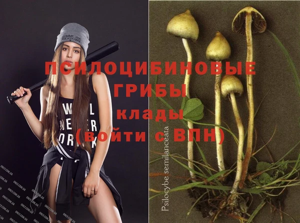спиды Алексеевка