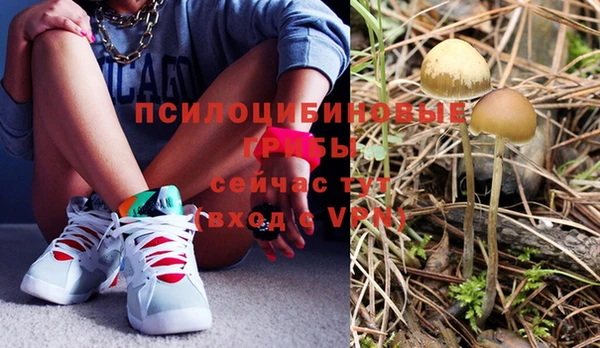 гашик Алзамай