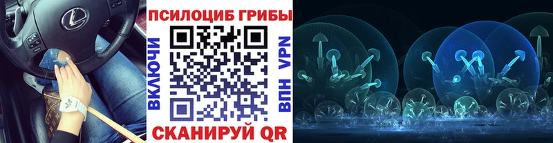 Галлюциногенные грибы Cubensis  наркотики  Артёмовск 